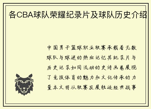 各CBA球队荣耀纪录片及球队历史介绍