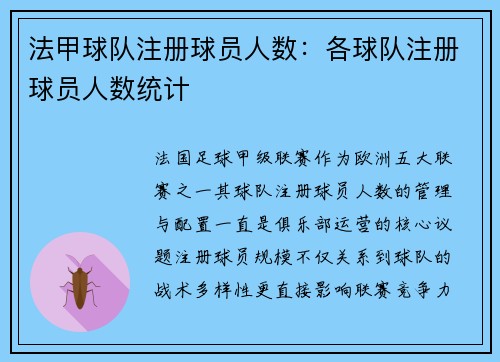 法甲球队注册球员人数：各球队注册球员人数统计