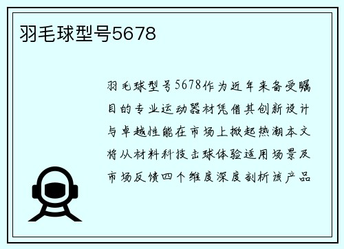 羽毛球型号5678